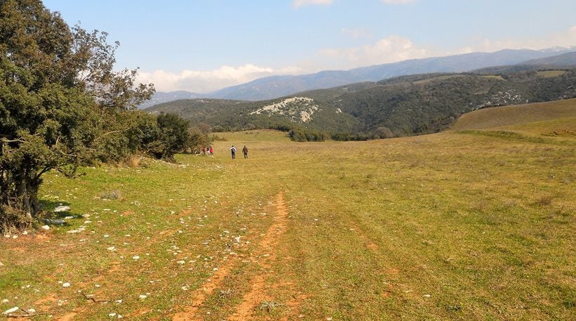 Αλβανοί «έσπειραν» χωράφι στην Άρτα με… 55 κιλά χασίς
